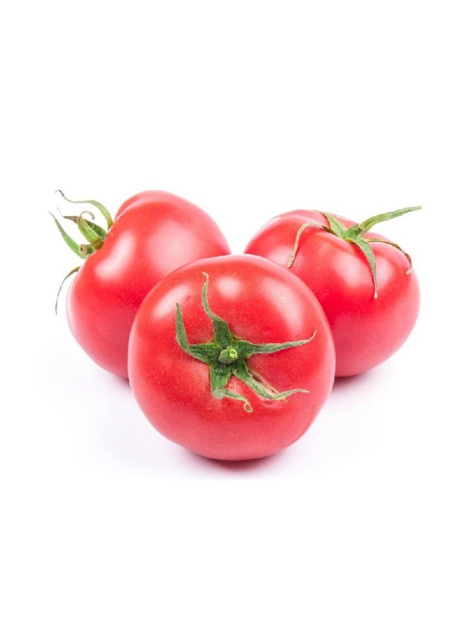 Pink Tomato